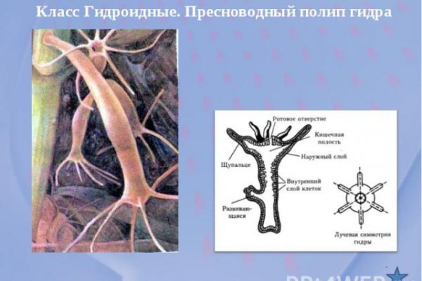 Ссылка на кракен оригинал