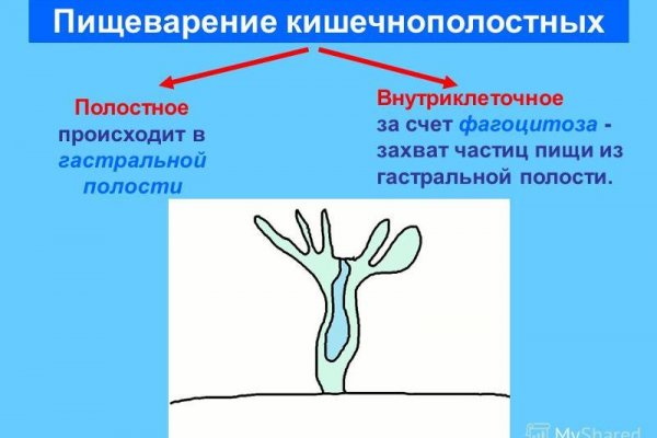 Кракен это современный даркнет маркет